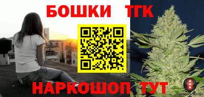 молекула духа Славгород