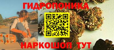 каннабис Сланцы